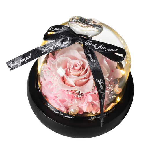 Natural Eternal Flowers Beauty and Beast Forever Preserved Rose in Glass with Led Valentine Wedding Mothers Day Gifts for Her